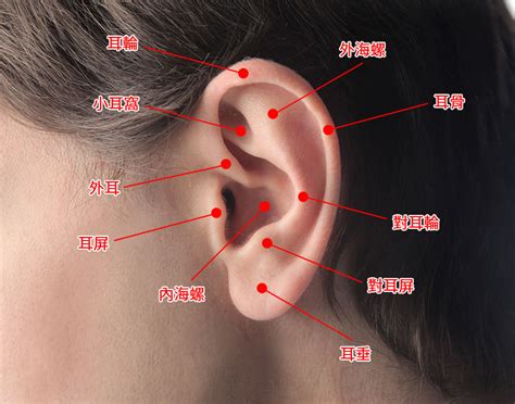 耳垂厚適合打耳洞嗎 電腦房間